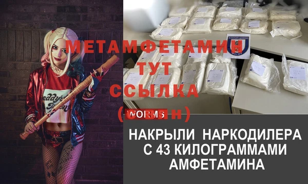 трава Арсеньев