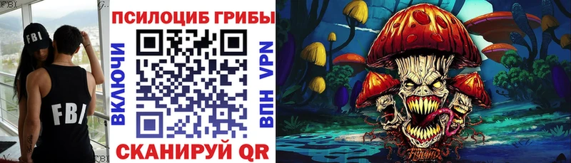 hydra маркетплейс  сколько стоит  Реж  Псилоцибиновые грибы Cubensis 